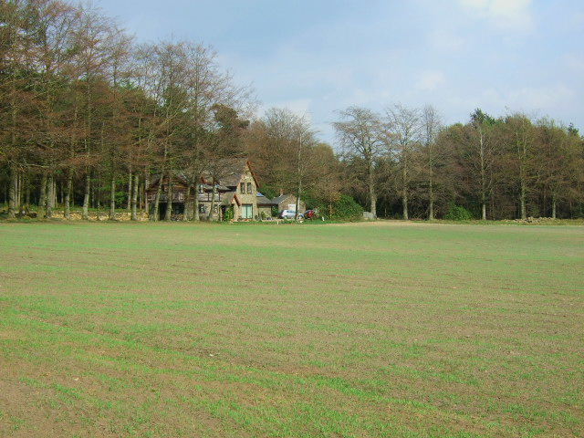 Woodland cottage