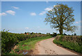 Lane south of Heath Farm