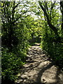 Love Lane Bridleway