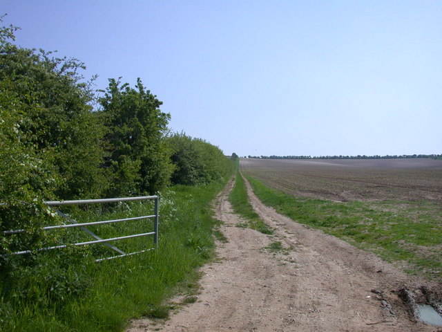 Farm track south of Grange Road