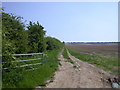 Farm track south of Grange Road