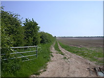 TL4642 : Farm track south of Grange Road by Keith Edkins