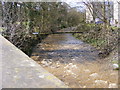 Gill Beck. Compare to an adjacent photo!