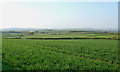 SS8678 : Farmland east of Tythegston by eswales