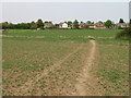 The Stour Valley Walk towards Wye