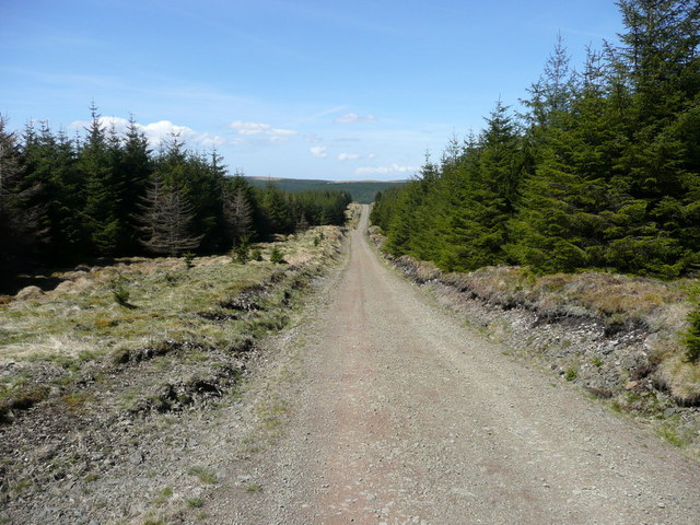 Forestry road