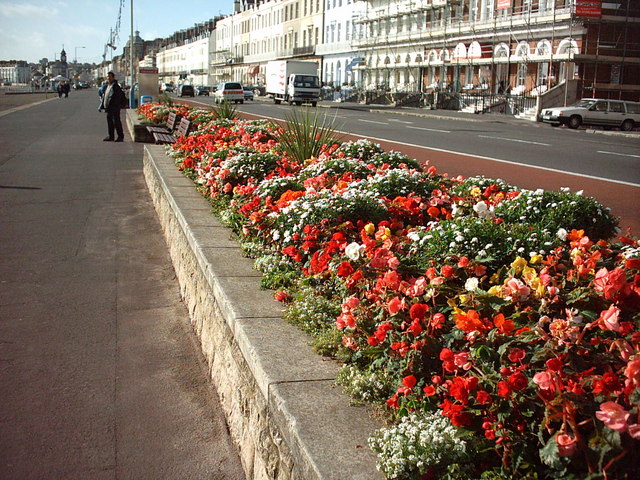 Flowers on the Front