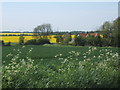 Fields beside Mill Lane