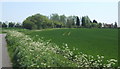 Mill Lane curving past Hill Farm