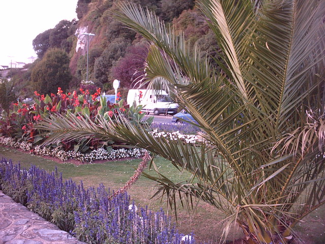Floral Display at Torquay