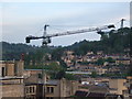 Cranes over Bath