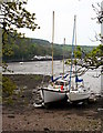 Boats Moored on Millbrook Lake