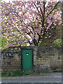 Garden gate