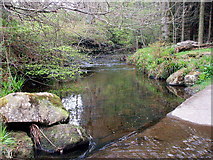NU1228 : Looking upstream from the Washpool ford on the Waren Burn by Alfie Tait