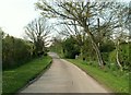 Part of Bourne Road, heading towards West Bergholt centre