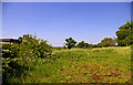 Land behind bus stop, The Ridgeway, Enfield