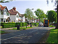 Mead Walk, Hull