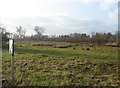 SU8485 : Marlow countryside by ad acta