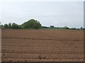 SO8452 : Short cut across as ploughed field by John M