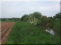 SO8452 : Battle of Worcester - Meadows beside the River Teme by John M