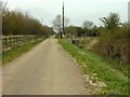 Farm track and dyke