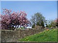 Wall by Drumry Cemetery