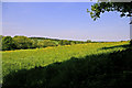 Farmland, Valley Fields Crescent, Enfield