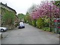 Aitken Street, Irwell Vale