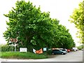 SU1086 : Toomer's Garden Centre, Stone Lane, Common Platt by Brian Robert Marshall