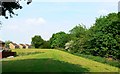 Linear park, near Tattershall, Toothill, Swindon