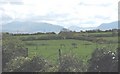 Pasture land between Bethel and Trefdraeth