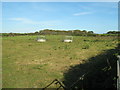 Farmland near Tremayne