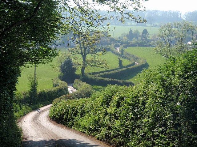 Lane to Haldon Grange