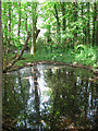 Moat hidden by trees