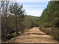 NH6877 : Forest road, Cnoc an t-Sabhail by Richard Webb