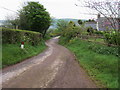 Lane through Pentre-Lloegr