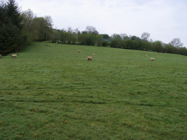 Field below Rhiwrfran Farm