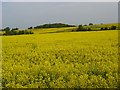 Farmland, Braywoodside