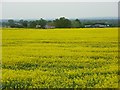 Farmland, Hawthorn Hill