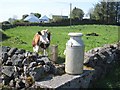 G8136 : Cow and milk churn, Newtownmanor by Oliver Dixon
