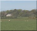 View across the fields to Gwna Fawr