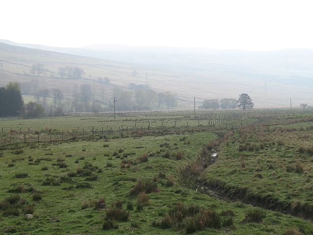 Damp pasture, Auchnacloich