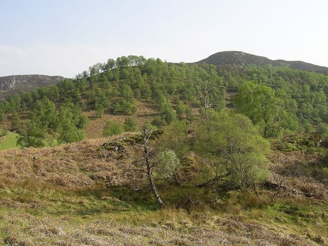 High woodland along Loch Ness side, Dell Estate
