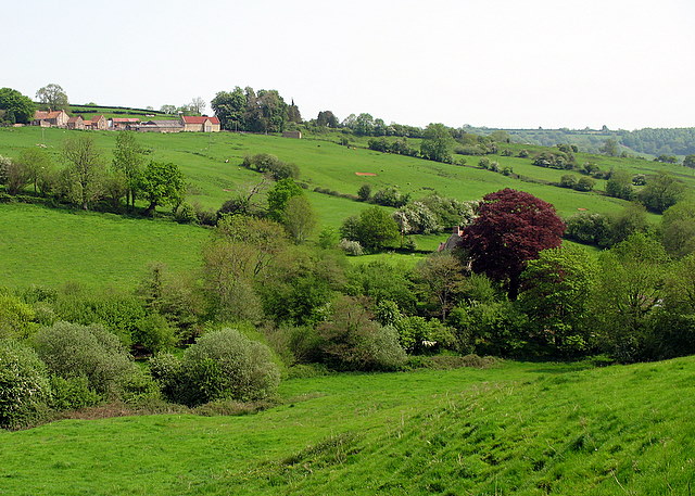 St Catherine's Valley