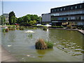 Uxbridge: Brunel University