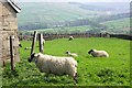 View from Harden Moss Road above Digsley reservoir