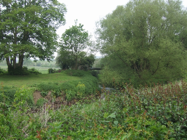 River Stour downstream of The Hyde