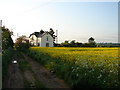 House in the Field