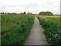 Footpath to Weston-on-Avon