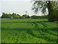 Farmland, Sutton Courtenay